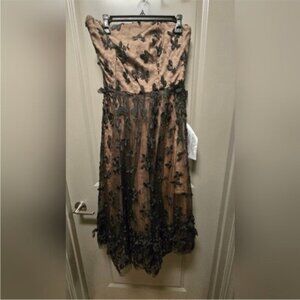 Elegant Black and Tan Strapless Dress